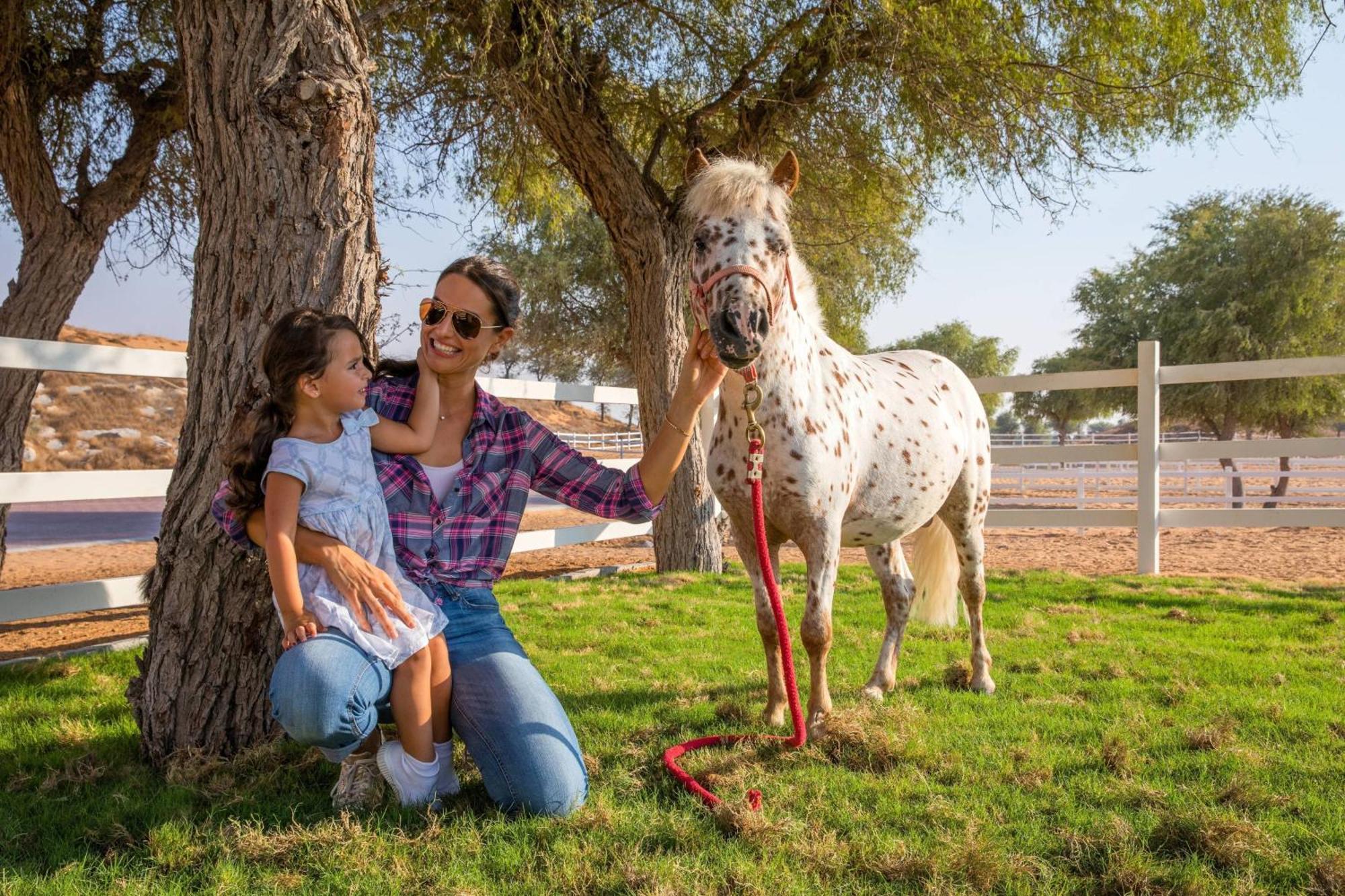 The Ritz-Carlton Ras Al Khaimah, Al Wadi Desert Bagian luar foto Al Shaqab